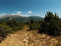 LooseTrail MTB Track