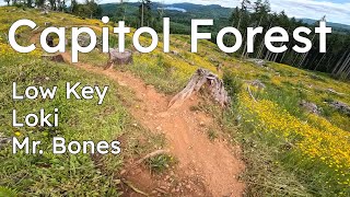 Capitol Forest Low Key and Mr  Bones