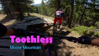 Toothless | Moose Mountain | Bragg Creek, Alberta