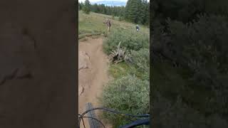 You climb your first 14er and this happens...
