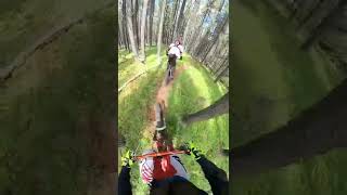 Baseline Mountain Biking: Rewards trail