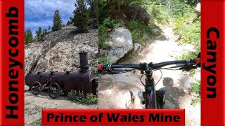 Honeycomb Canyon's WILD Rock Garden &...