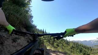 Green River Trail to Strawberry Mountain - Aug...