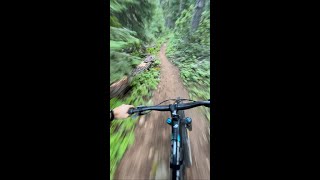 Southern Oregon MTB