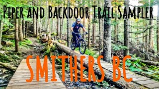 Piper and Backdoor Trail Sampler in Smithers BC