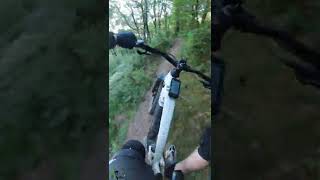 Wild trail