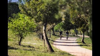 Mavic Allroad
