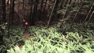 Darren Berrecloth on Vancouver Island - Fabien...