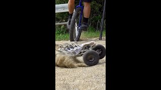 RC Unicycle Powerslide!