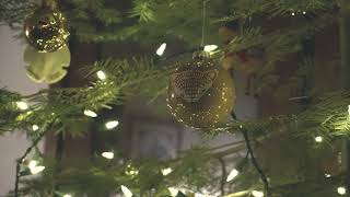 Putting Up The Tree - A Pearce Family...