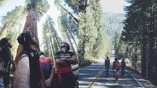Riding Bikes and the WORLDS LARGEST TREE...
