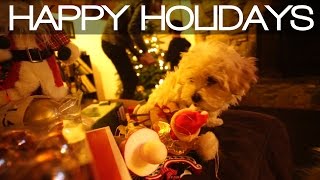 Puppies Helping Put Up Our Christmas Tree...
