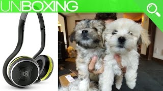 UNBOXING WITH PUPPIES (66 Audio - BTS Pro...