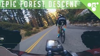 EPIC FOREST ROAD BIKE DESCENT (3,600ft | 1,110m)