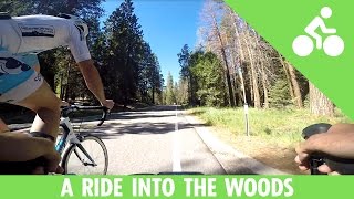 Just a Bike Ride Into the Woods of Northern...