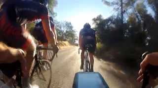Cycling Training as a Vegan