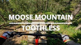 Getting Sketchy and Loose at TOOTHLESS! |...