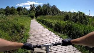 tour de Laurier Woods, Viewing Platform Loop...