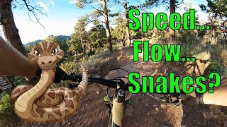 Hall Ranch MTB: Speed, Flow, Fun, and... SNAKES?