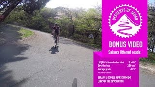 Road Bike - Descents of Japan: Sakura littered...