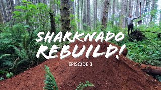 A NEW FEATURE AIRING OVER MORE TREES!...