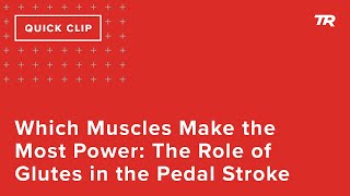 Which Muscles Make the Most Power: The Role of...