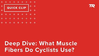 Deep Dive: What Muscle Fibers Do Cyclists Use?...