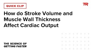How do Stroke Volume and Muscle Wall Thickness...