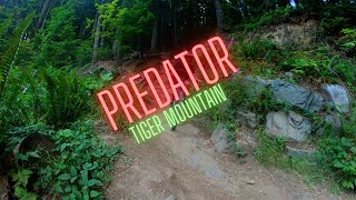 Upper Predator at Tiger Mountain with the NEW...