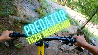 Upper Predator at Tiger Mountain - (Sendsday #52)