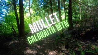 Mullet at Galbraith Mountain - (Sendsday #50)