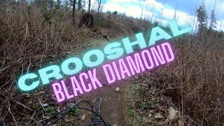 Crooshal at Black Diamond Open Space -...