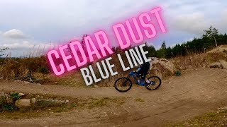 Cedar Dust Blue Jump Line at Galbraith...