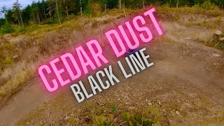 Cedar Dust Black Jump Line at Galbraith...