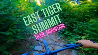 East Tiger Summit at Tiger Mountain Bike Park...
