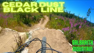 Cedar Dust Black Line - Galbraith Mountain