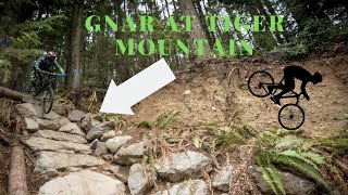 Tiger Mountain Bike Park Review