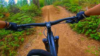 Learning Curve Trail and Overtime - 360 Trails