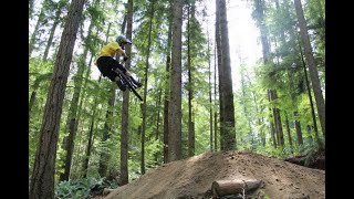 Flying Squirrel trail overview