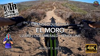 MTB Riding Lizard + Old Emerald + Fence Line I...