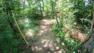 Cub Climb - Backyard MTB Trail