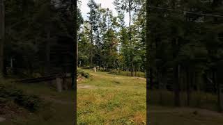 I made it across the Devinci step down at...