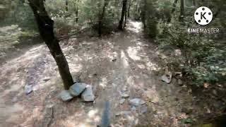 5 kms de bajada!!! Margarides Corriol - Zona...
