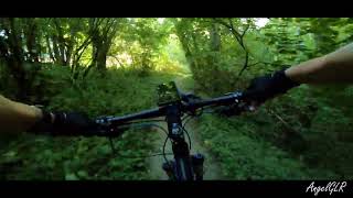 Pathfinder trail, Tigard Oregon