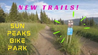 I Took My E-MTB To A Bike Park! ...