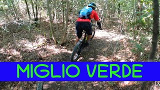 MTB Monte Morello 13.08.2022 sentiero MIGLIO VERDE