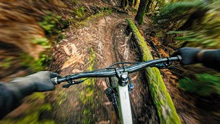 5 Underrated Rotorua MTB Trails That Will Make...