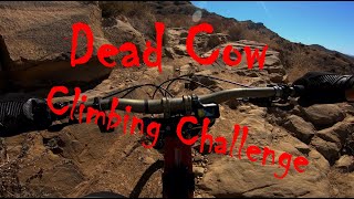 Dead Cow - Climbing Challenge (20Jun22)