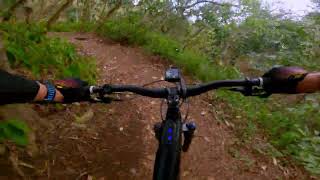 Ohana Trail DH