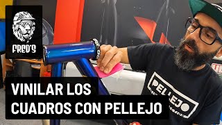 Cómo proteger los cuadros con vinilo - PELLEJO